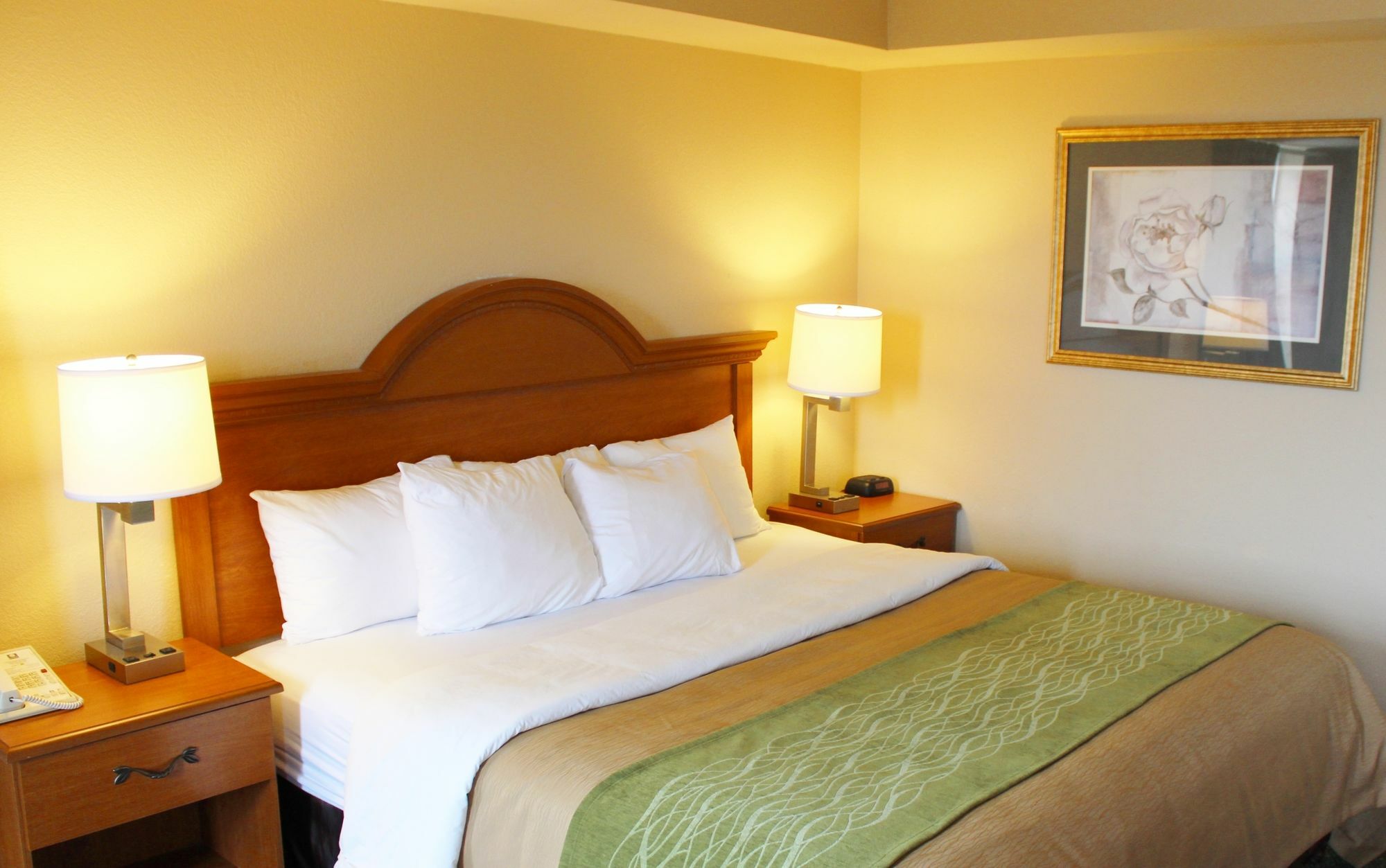 Comfort Inn & Suites St Louis - Chesterfield Ngoại thất bức ảnh